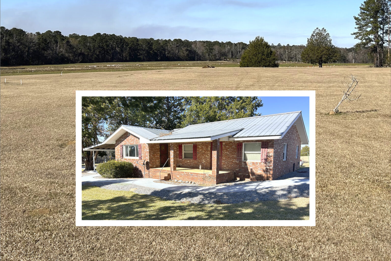 AUCTION LOT RESULTS visual data 6