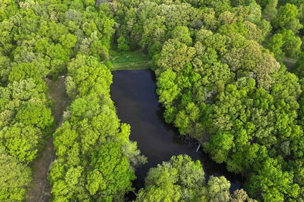 DJI_20231215143528_0003_D