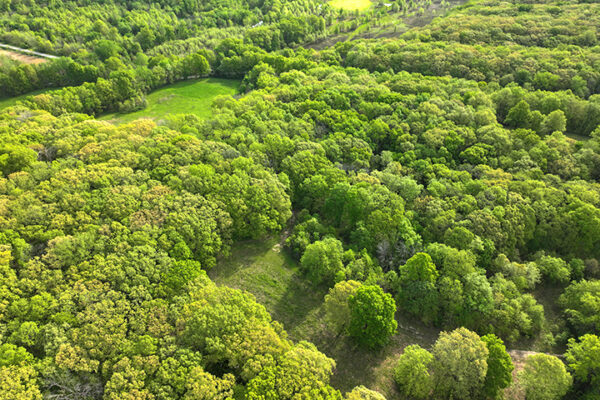 DJI_20231215143629_0007_D