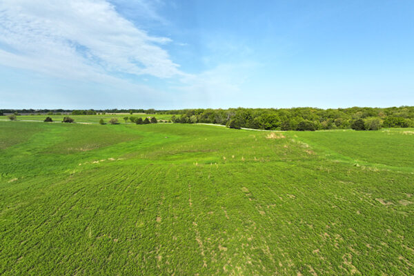 DJI_20231215144343_0029_D