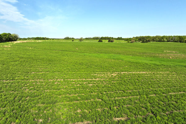 DJI_20231215144508_0035_D