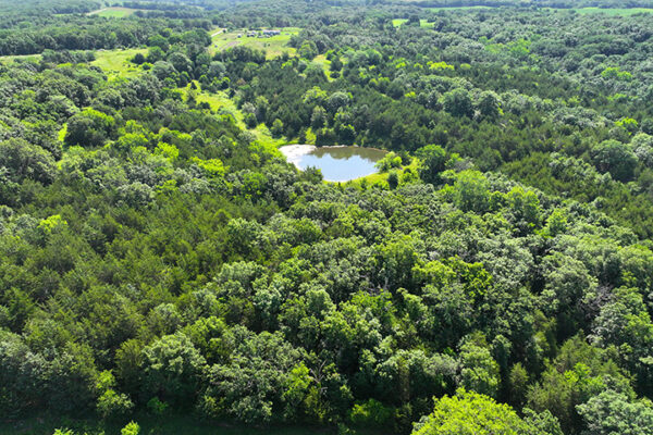 DJI_20240207160725_0012_D