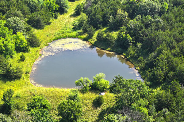 DJI_20240207160753_0014_D