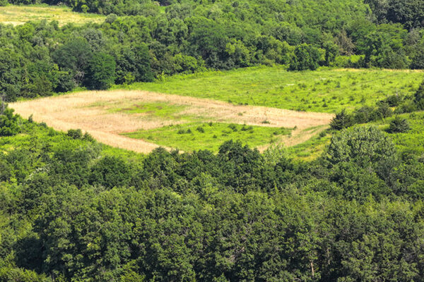 DJI_20240207160822_0016_D