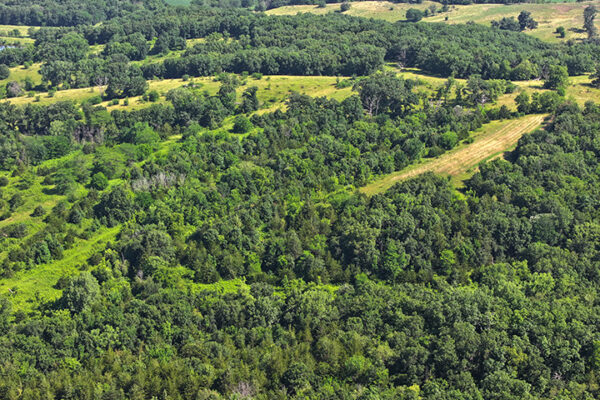 DJI_20240207160902_0018_D