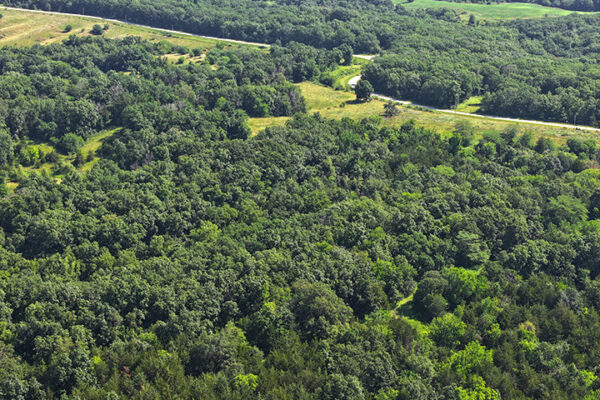 DJI_20240207160907_0019_D