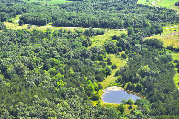 DJI_20240207160921_0020_D