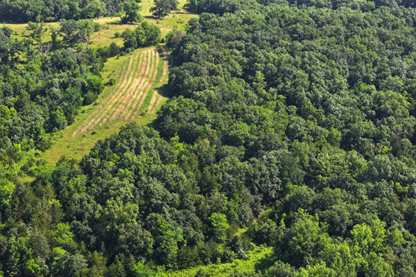 DJI_20240207161013_0023_D