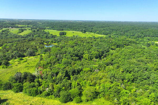 DJI_20240207161200_0027_D
