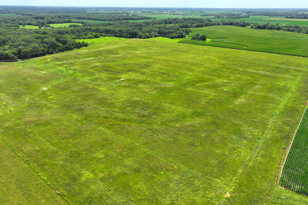 DJI_20240216184223_0022_D