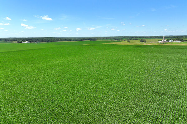 DJI_20240216184509_0027_D