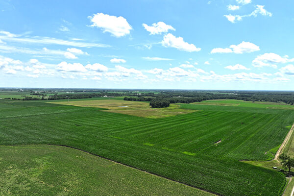 DJI_20240216192542_0063_D