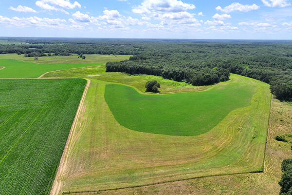 DJI_20240216192636_0065_D