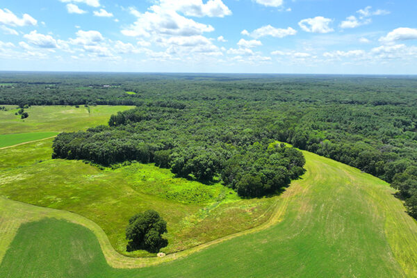 DJI_20240216192650_0066_D
