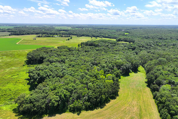 DJI_20240216192727_0068_D