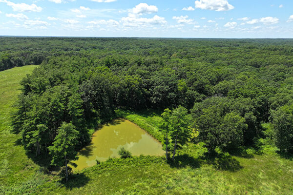 DJI_20240216192831_0069_D