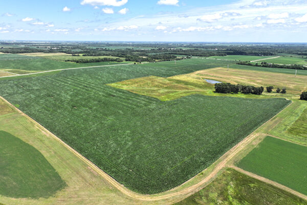 DJI_20240216193103_0076_D