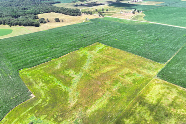 DJI_20240216193454_0082_D