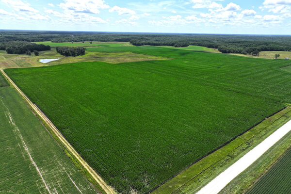 DJI_20240216194024_0085_D