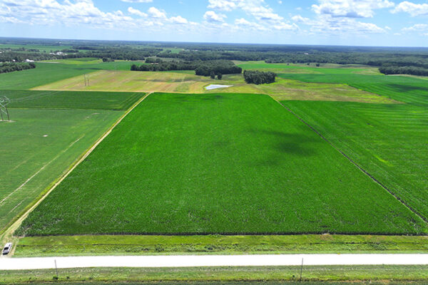 DJI_20240216194049_0086_D