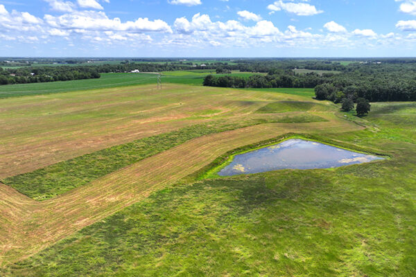 DJI_20240216194227_0091_D