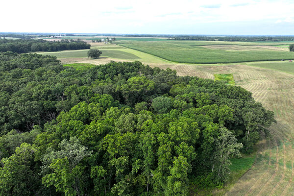 DJI_20240316001422_0084_D