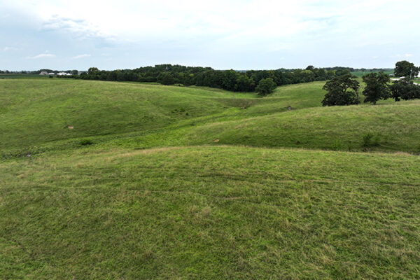 DJI_20240318201354_0102_D