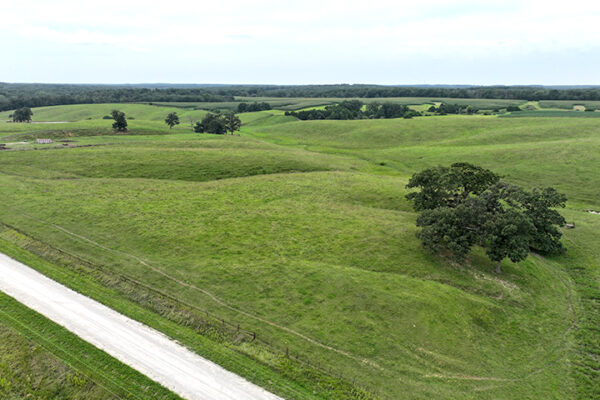 DJI_20240318202223_0111_D