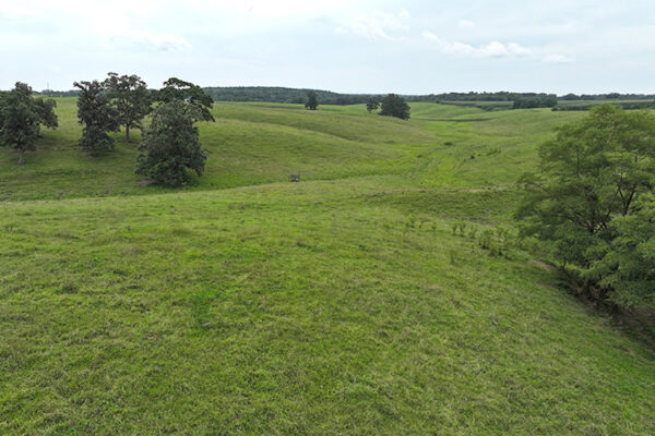 DJI_20240318202252_0113_D