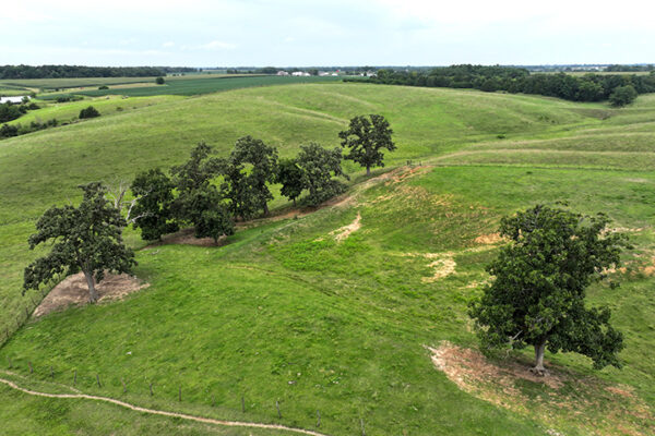 DJI_20240318202520_0118_D