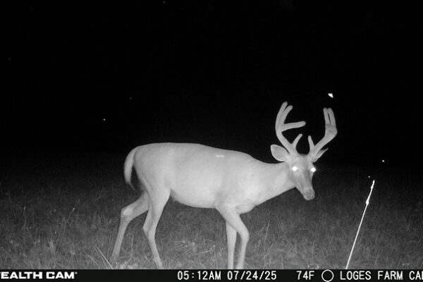 Trail Camera[MP:00][TP:074F]