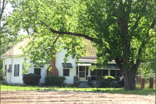 king house_1
