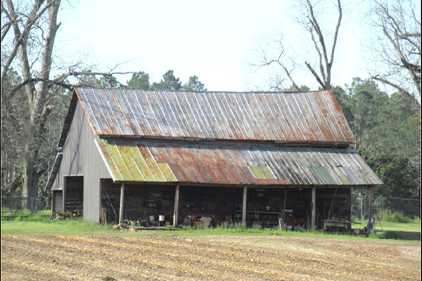 king house_4