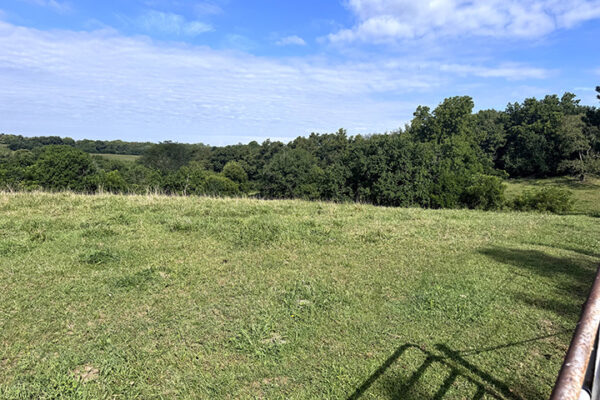 02.Photo Aug 22 2025, 10 06 35 AM