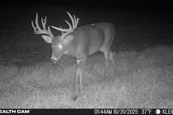 Trail Camera[MP:03][TP:037F][IMEI:863423071312581]