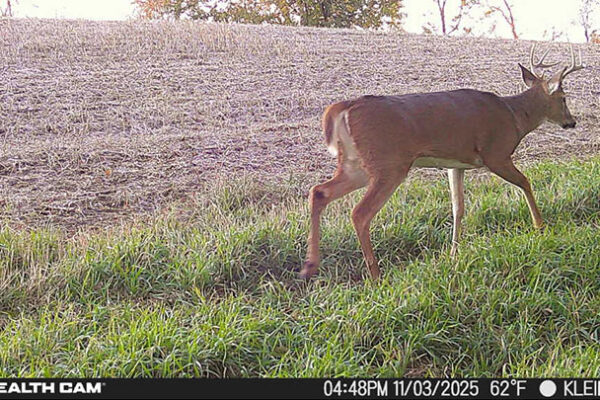 Trail Camera[MP:04][TP:062F][IMEI:863423071312581]