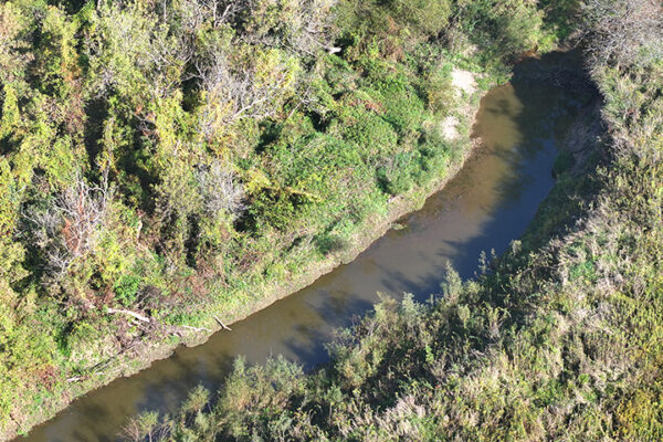 DJI_20240511171011_0039_D