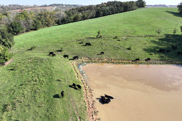 DJI_20240511172545_0054_D