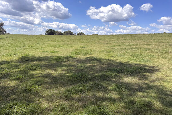 Photo Aug 26 2025, 2 02 16 PM