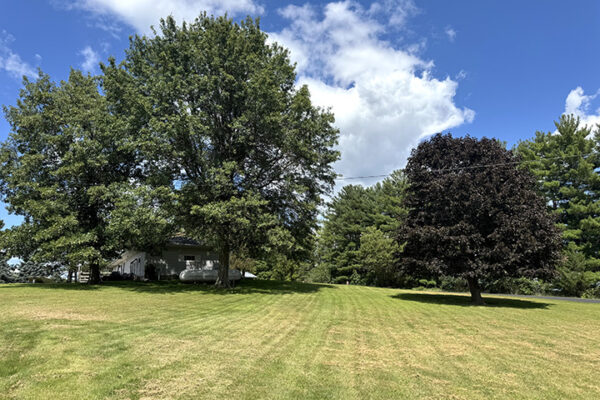 Photo Aug 26 2025, 2 03 00 PM