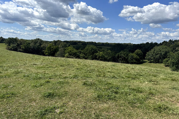 Photo Aug 26 2025, 2 03 48 PM