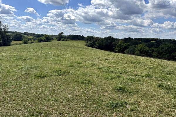 Photo Aug 26 2025, 2 03 55 PM