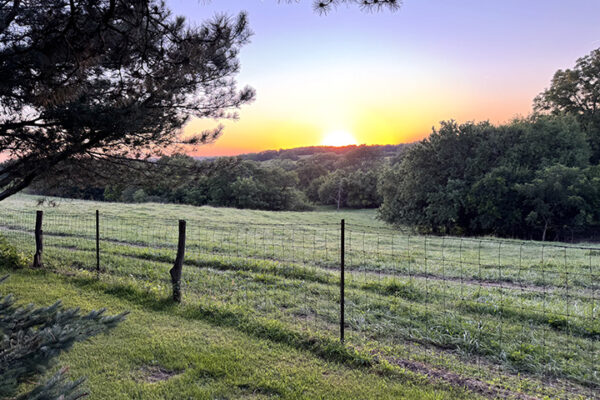 Photo Aug 26 2025, 7 40 18 PM