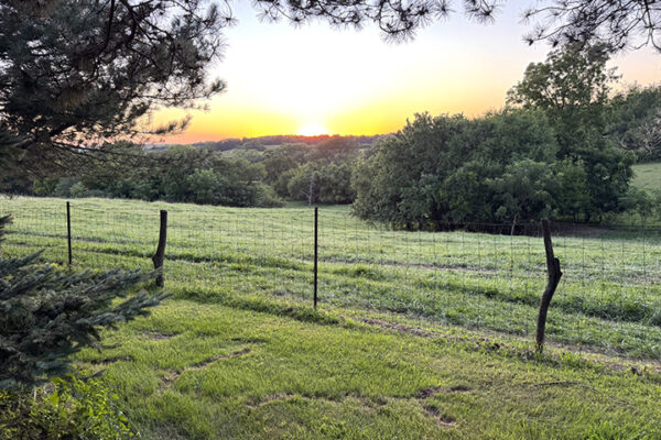 Photo Aug 26 2025, 7 42 03 PM