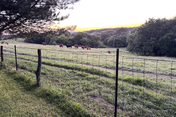 Photo Aug 26 2025, 7 53 28 PM