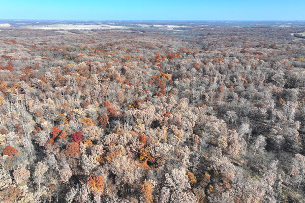 DJI_20240623193220_0002_D