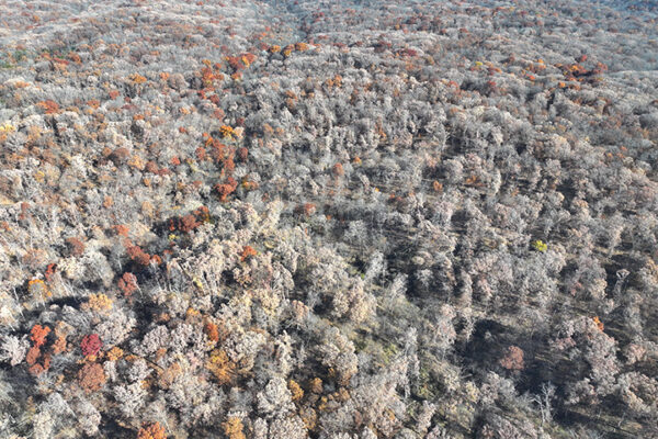 DJI_20240623193305_0003_D