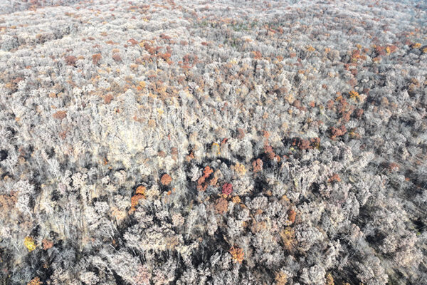 DJI_20240623193308_0004_D