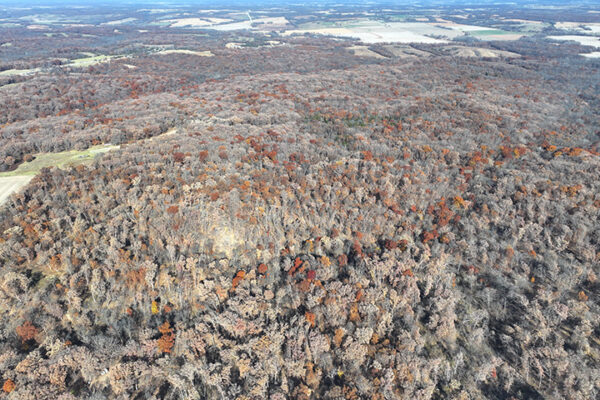 DJI_20240623193509_0006_D