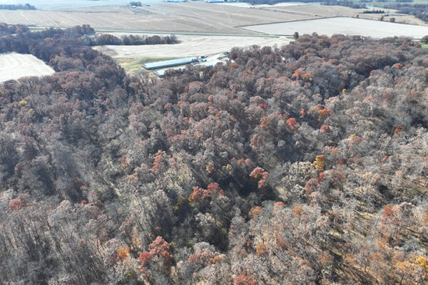 DJI_20240623193854_0008_D